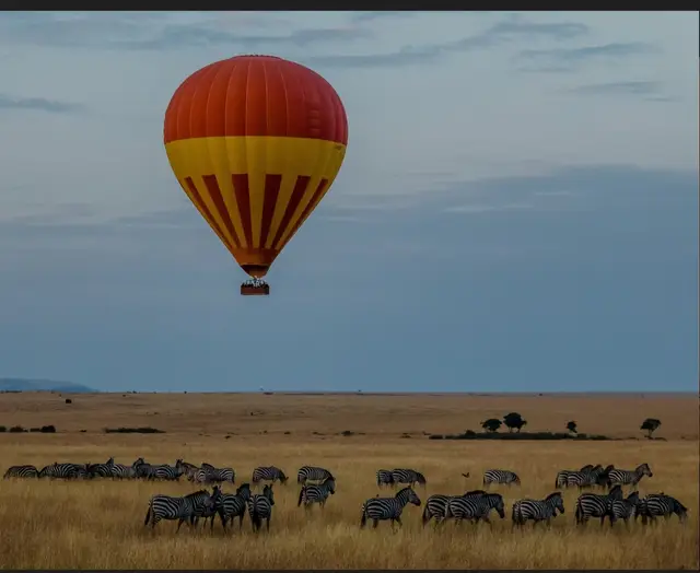 Hot-air balloon floating above a herd of zebra on the golden Maasai Mara plains at dawn