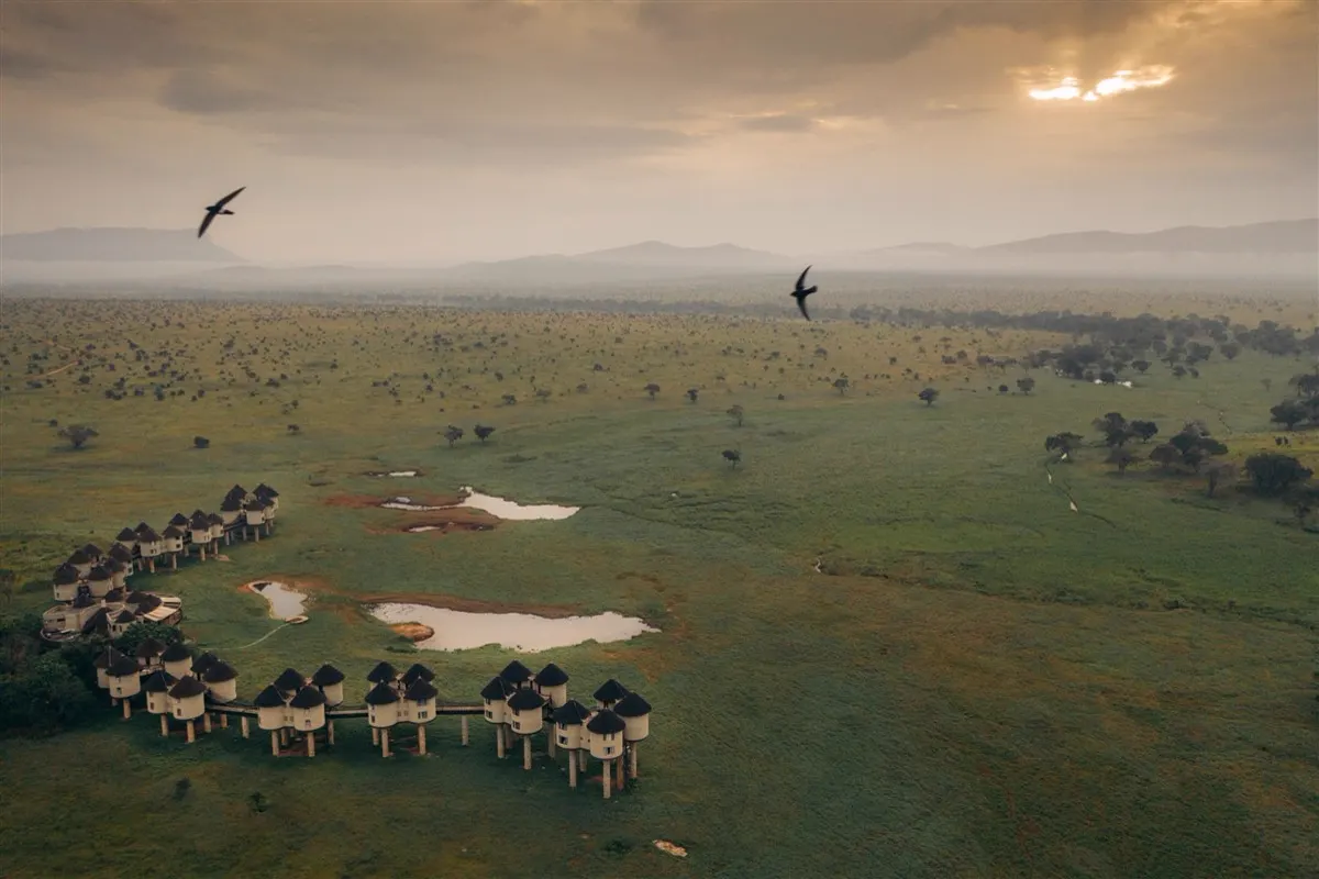Aerial view of Salt Lick Safari Lodge curving across green Taita plains at sunrise