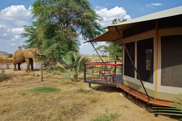 Ashnil Samburu Camp in Samburu National Reserve