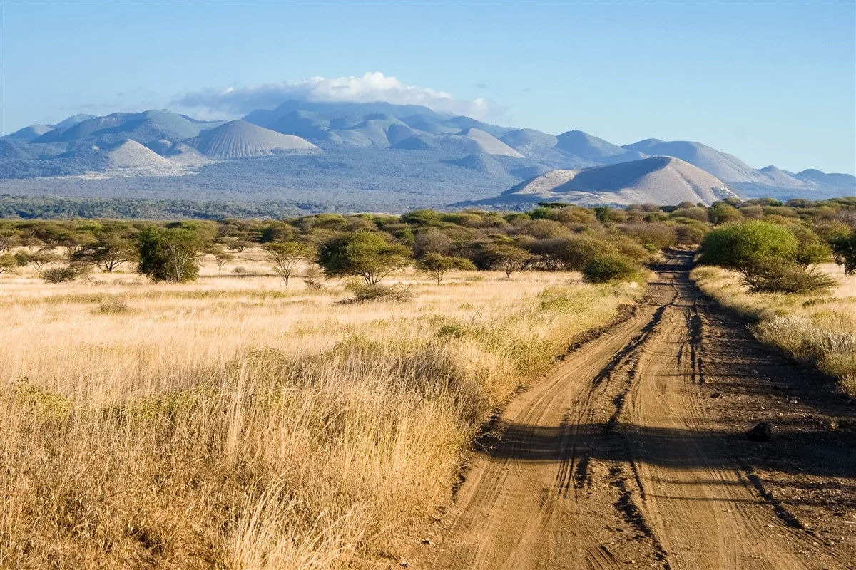 Dirt track running through golden grass towards the volcanic Chyulu Hills in Tsavo West