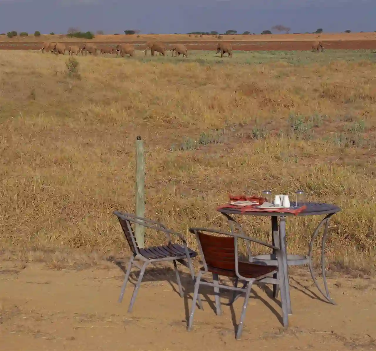 A private table set for two at the edge of the savannah with a herd of elephants passing in the distance
