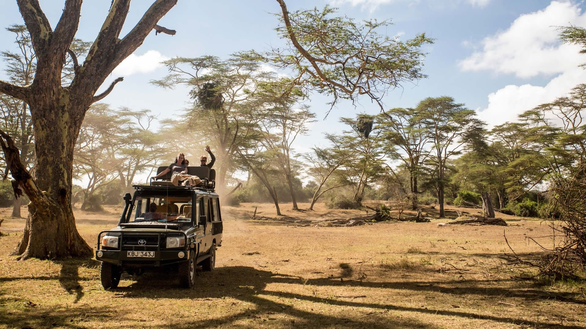 Guests standing through the pop-up roof of a 4WD safari Land Cruiser under acacia trees on a Kenyan game drive