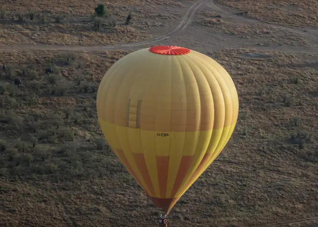 Hot-air balloon drifting low over the Maasai Mara plains at sunrise