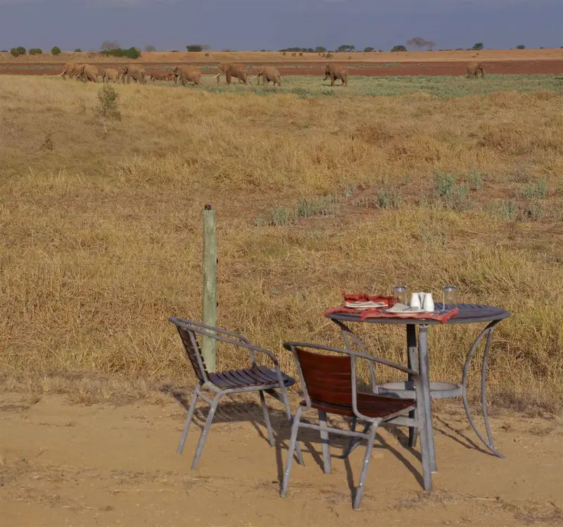 Table for two overlooking a herd of elephants crossing the plains