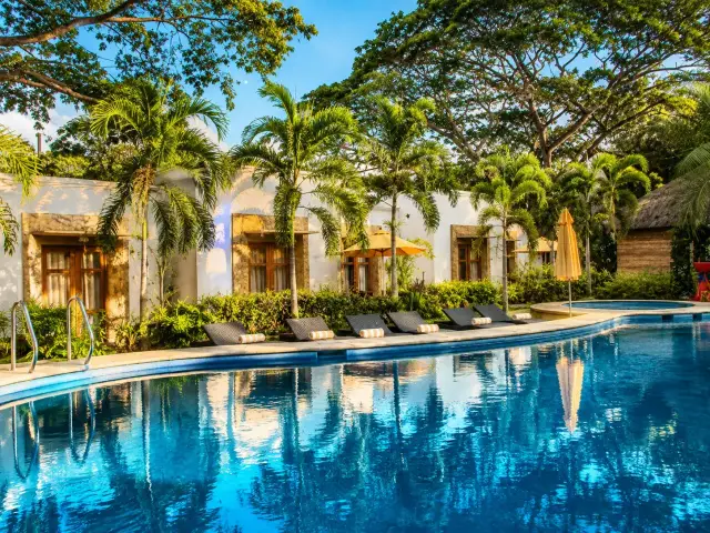 Swimming pool surrounded by palms at Acacia Tree Lodge