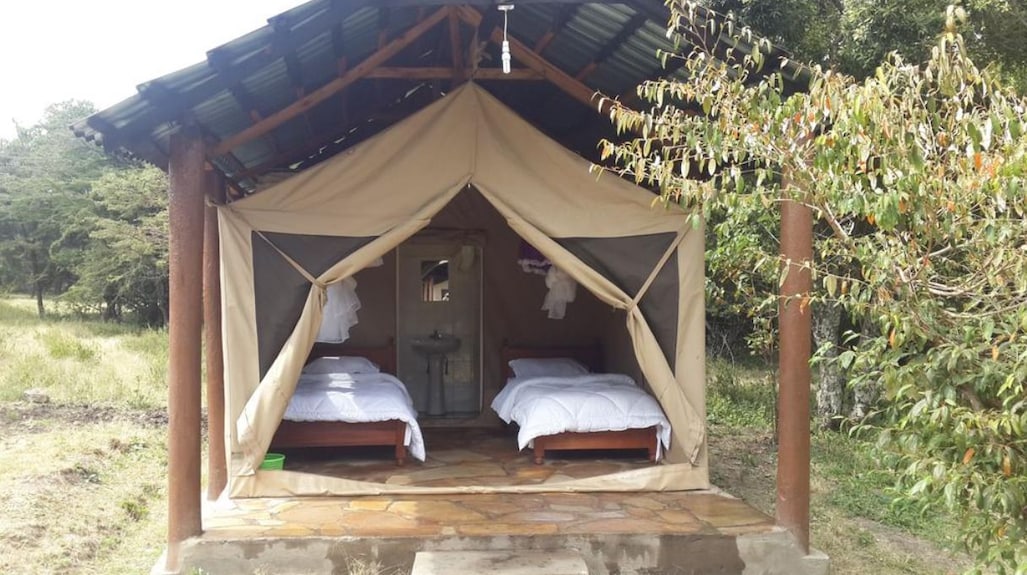 Twin safari tent at Mara Springs Camp