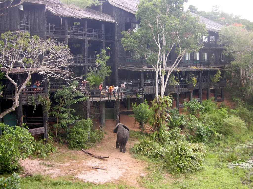 Shimba Rainforest Lodge overlooking the forest waterhole